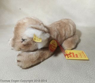 Vintage Steiff Lioness Lion Sulla W All Tags 0815/15 12 Inch Soft Cute