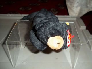 Set Of (2) Blackie The Adirondack Bear Ty Beanie Baby Retired 8 Inches