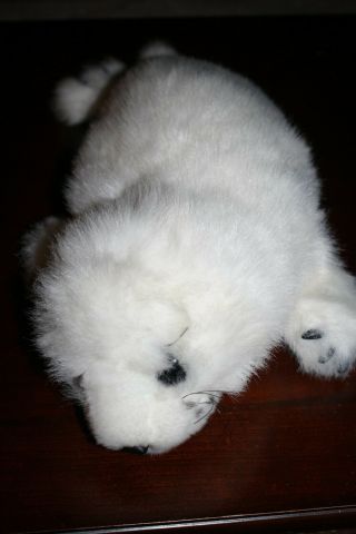 Htf Folkmanis White Baby Harp Seal Pup Stuffed Plush Full Body Hand Puppet 19 "