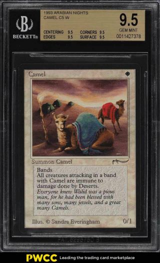 1994 Magic The Gathering Mtg Arabian Nights Camel C5 W Bgs 9.  5 Gem (pwcc)
