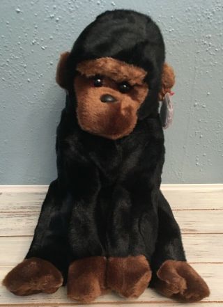 1999 Ty Beanie Buddy Congo Gorilla With Tag Protector