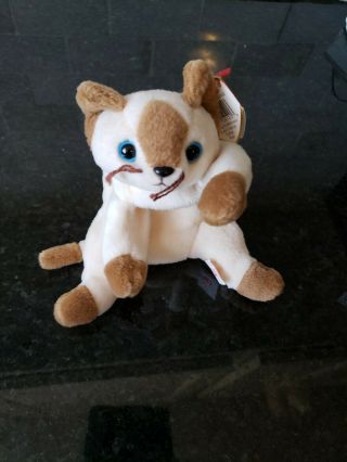 Ty Beanie Baby - 1996 Snip The Siamese Cat 7.  5 In - With Tags
