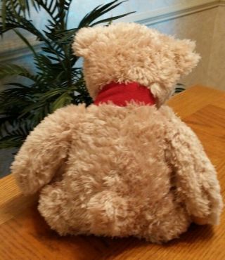 Shaggy Plush Tan Teddy Bear 
