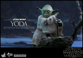 Hot Toys Star Wars Episode V The Empire Strikes Back Yoda 1/6 Scale In Hand
