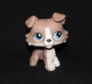 Authentic Littlest Pet Shop Lps Gray & White Toy Collie 67 Blue Eyes Grey (dg1)
