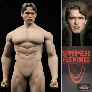 1/6 Scale Tbleague Phicen Male 12in Body,  Arnold Schwarzenegger Head Sculpt