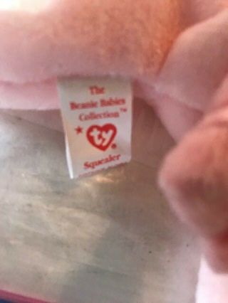 Ty Beanie Babies Squealer Pig Style 4005 4