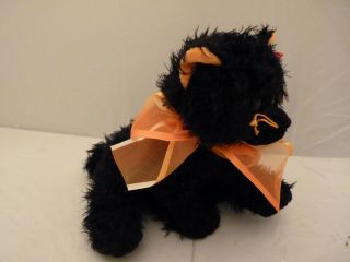 2005 Ty Beanie Babies MOONLIGHT The Black Cat w/Orange Bow & Tags (10 