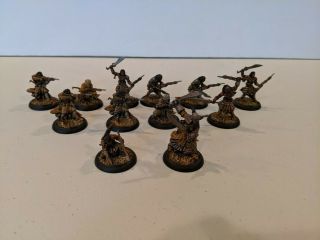 Warmachine Menoth/mercenaries Idrian Skirmishers W/ Chieftain And Guide Painted