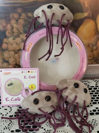 Set of 3 E Coli Giant Microbes Minis Petri Dish Plush Bacteria 2