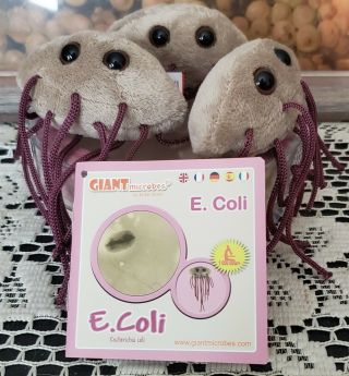 Set of 3 E Coli Giant Microbes Minis Petri Dish Plush Bacteria 3