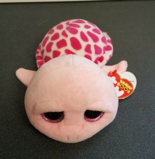 Ty Beanie Boos 6 " Shelby Pink Sea Turtle Plush Boo 2013 Sparkly Eyes Nwt
