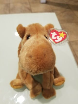 Rare Humphrey The Camel Ty Beanie Baby Highly Collectible Retired With Tag 1998
