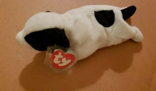 Ty Beanie Babies Spot The Dog 3rd Gen Hang Tag Tag Not