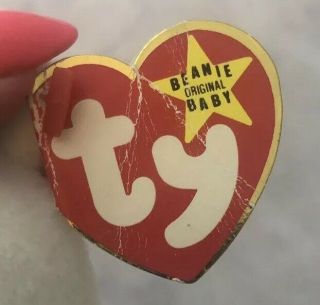 TY BEANIE BABY Valentino Brown Nose PVC Curly Bear Brown Nose Tag Errors 1993 4