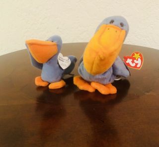 Ty Beanie Babies Scoop The Pelican Set Of 2 One Regular Size/one Mini