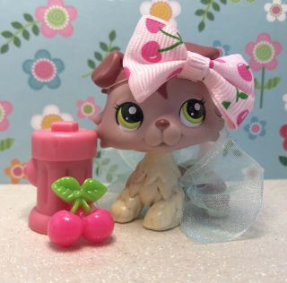 Authentic Littlest Pet Shop 1723 Burgundy Pink Cream Collie Green Eyes Outfit