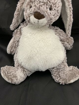Mary Meyer Bunny Rabbit White Brown Lop Eared Plush Soft 10 In Retired Lovey 3