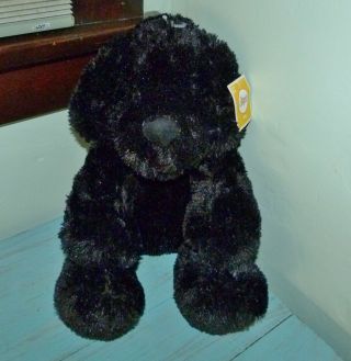 Circo Target Plush Floppy Ears Black Puppy Dog Stuffed Animal 0,  W/ Tags Soft