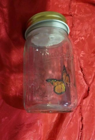 Animated Butterfly In A Jar - Yellow Swallow