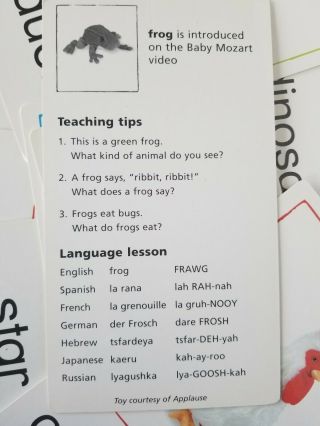 Baby Einstein Language Discovery Cards 4