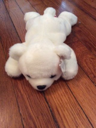 Ty Beanie Buddy Chilli The Polar Bear 1998 14” Pristine Never Played With