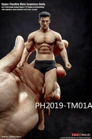 Tbleague 1/12 Scale Ph2019 - Tm01a 6 " Male Action Muscle Figure Body Model