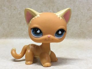 Littlest Pet Shop Lps Orange Cat With Blue Teardrop Eyes No Number Puzzle Pet