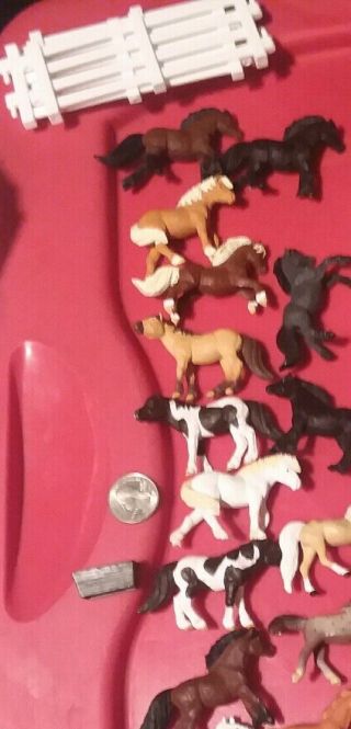 Safari Ltd Toys Horses Mini Figures 5