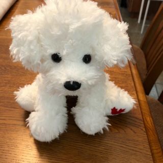 Ty Beanie Buddy “ice Skates” The Canadian Exclusive Dog