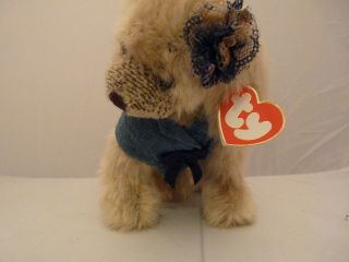 2000 Attic Treasures Ty Beanie Babies Carey The Poodle Dog W/tags (8 Inch)