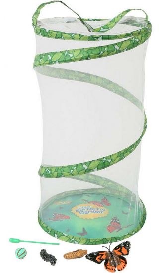 Insect Lore Deluxe Butterfly Garden