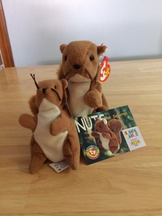 Ty Beanie Babies Nuts The Squirrel And Nuts Teenie Beanie And Trading Card