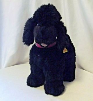 Vintage German Steiff 5447/28 Standing Black Poodle W/ Red Collar 11 "