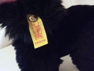 Vintage German Steiff 5447/28 Standing Black Poodle w/ Red Collar 11 