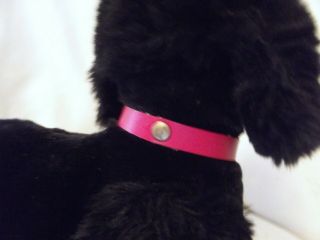 Vintage German Steiff 5447/28 Standing Black Poodle w/ Red Collar 11 