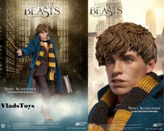 Star Ace 1/6 Fantastic Beasts & Where To Find Them Newt Scamander Figure Sa - 0047