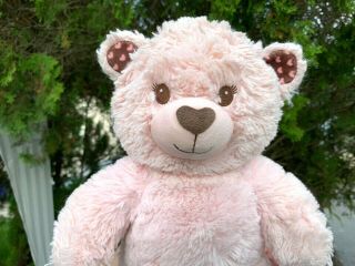 Vintage Build A Bear Light Pink Hearts Teddy Bear 16 " Plush Stuffed Animal Toy