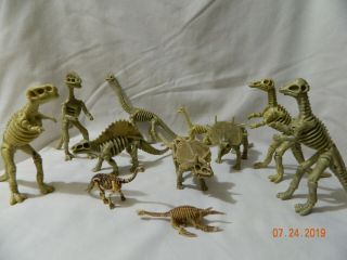 Dinosaur Paleontology Fossil Skeleton Toy 11 - Piece Set (9 Full Size,  2 Mini)