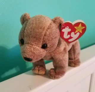 1999 Ty Beanie Baby 8.  5in Pecan The Brown Bear With Tag Bean Bag