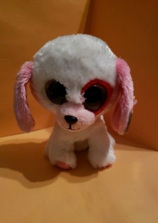 Ty " Darlin " The Valentines Dog Beanie Boos 6 " Stuffed Plush W/ Tags