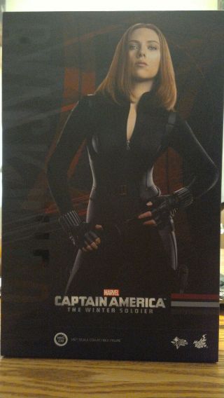 Hot Toys 1/6 Marvel Mms239 Captain America Winter Soldier Black Widow