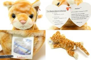 Ty Beanie Baby Amber The Cat Born 1999