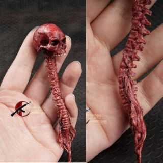 1/6 Scale Red Zombie Skull Skeleton Head Sculpt Model Toys For 12 " Figure Body