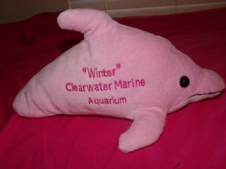 Fiesta Pink Plush Clearwater Marine Aquarium “winter” The Dolphin Plush.