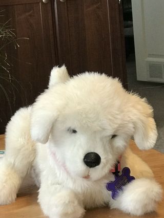 Hasbro Furreal Fur Real Friends Dog Interactive Great For Dementia Patients