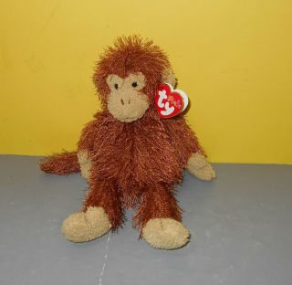 Ty Punkies Zig Zag The Monkey Bean Floppy Stuffed Plush 8 " Animal W/ Tag