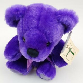 First & Main Rainbow Bear Plush Stuffed Animal Purple Collectable Bear With Tags