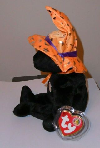 Ty Beanie Baby POCUS the Bear (2005 October BBOM Exclusive) (8.  5 Inch) MWMT 2