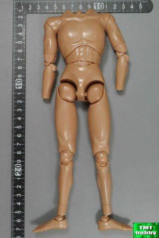 1:6 Scale China Toys Zh011 Teutonic Knights - Body (no Head Hands Feet)